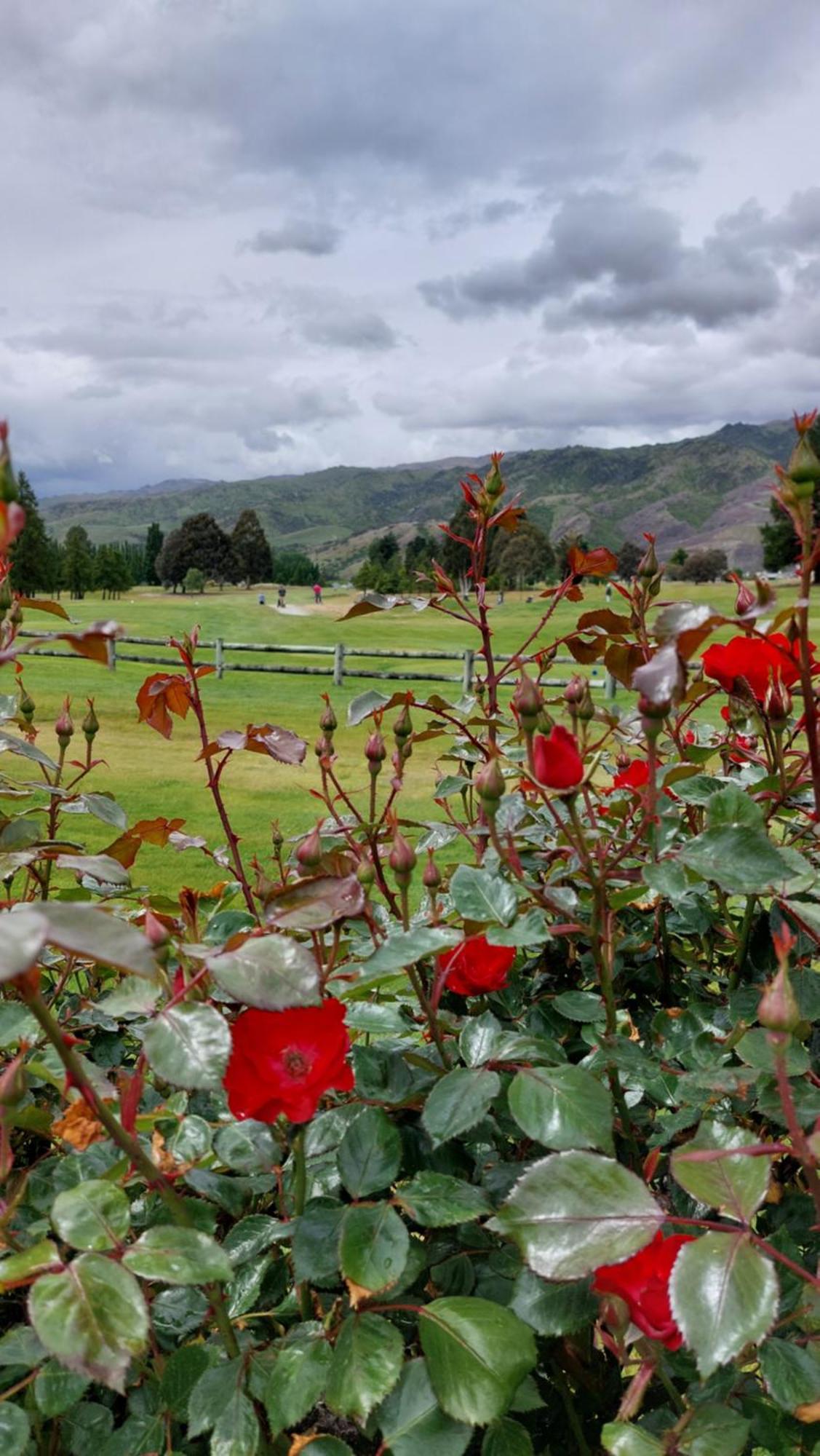 Lake Dunstan Motel Cromwell Dış mekan fotoğraf